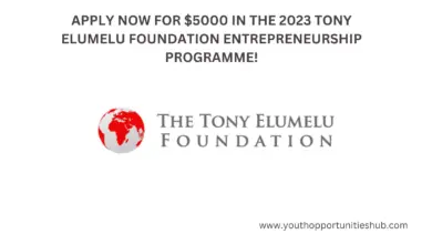 APPLY NOW FOR $5000 IN THE 2023 TONY ELUMELU FOUNDATION ENTREPRENEURSHIP PROGRAMME!