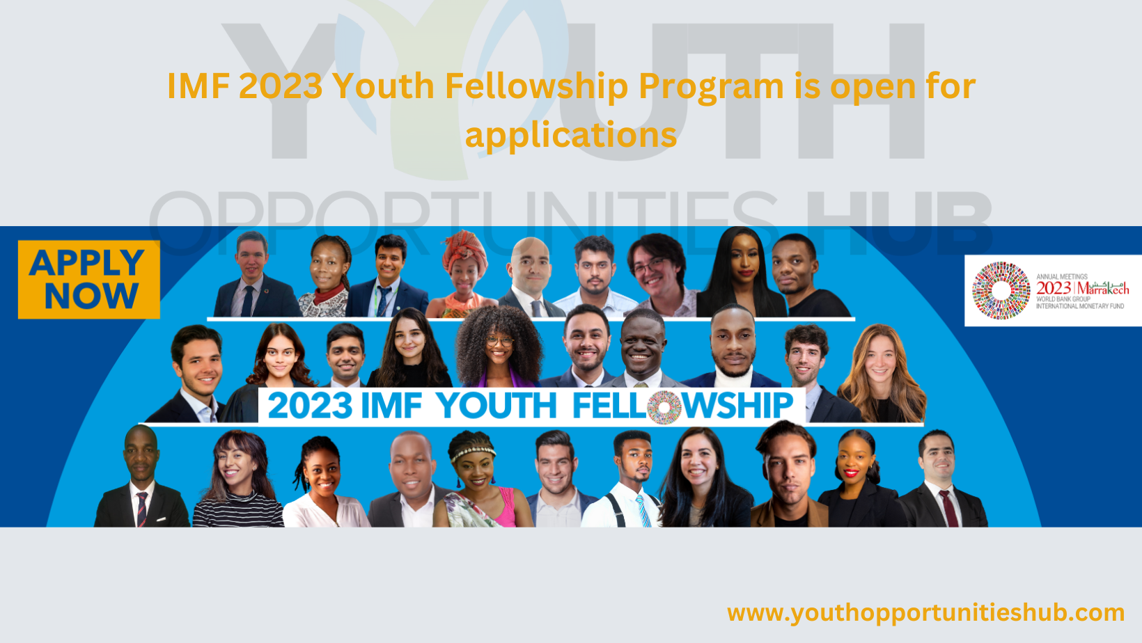 IMF 2023 Youth Fellowship Program is open for applications » Youth