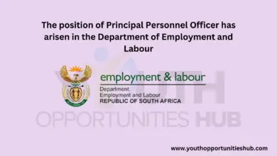 The position of Principal Personnel Officer has arisen in the Department of Employment and Labour