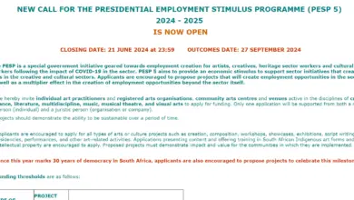 NEW CALL FOR THE PRESIDENTIAL EMPLOYMENT STIMULUS PROGRAMME (PESP 5) 2024-2025