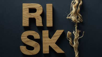 Standard Bank PPB Risk Execution Internship Programme