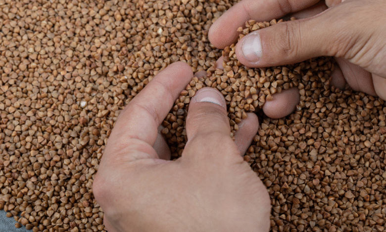VKB Grain Grader Learnership Opportunity
