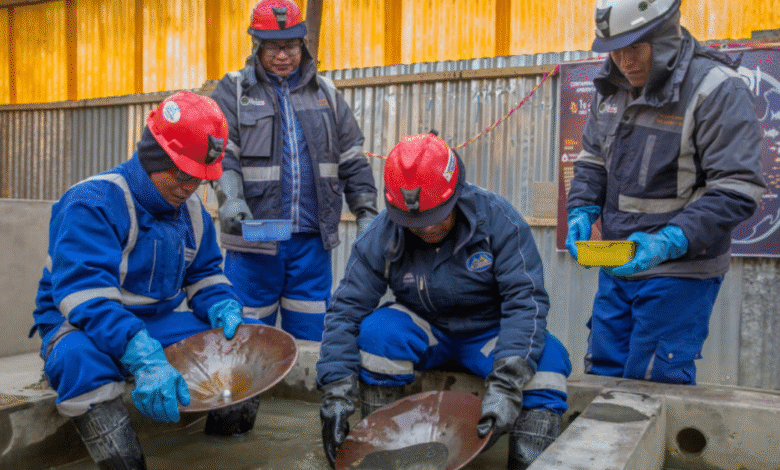Gold Fields Miner Learnership Programme