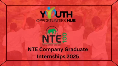 NTE Company Graduate Internships