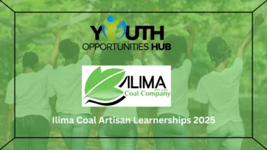 Ilima Coal Artisan Learnerships 2025