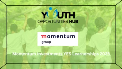Momentum Investments YES Learnerships 2025
