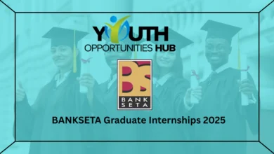 BANKSETA Graduate Internships 2025