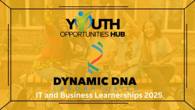 IT and Business Learnerships 2025