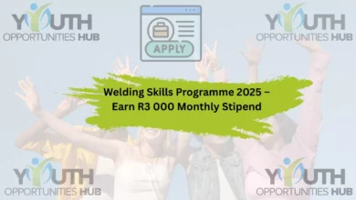 Welding Skills Programme 2025