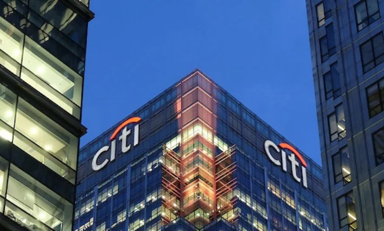 Citi South Africa Learnership Graduate Program in Johannesburg