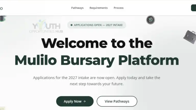 Mulilo Bursary Programme 2027