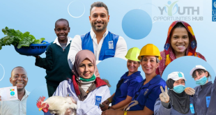 Home Based Communications and Digital Analyst Job 2026 - UN Development Programme (UNDP