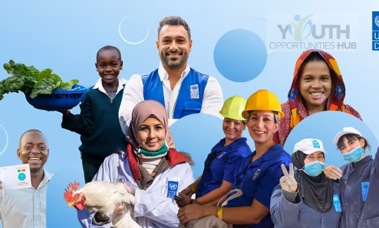 Home Based Communications and Digital Analyst Job 2026 - UN Development Programme (UNDP
