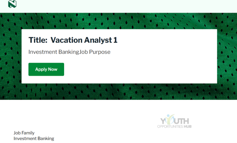 Vacation Analyst Job Opportunity at Nedbank Group