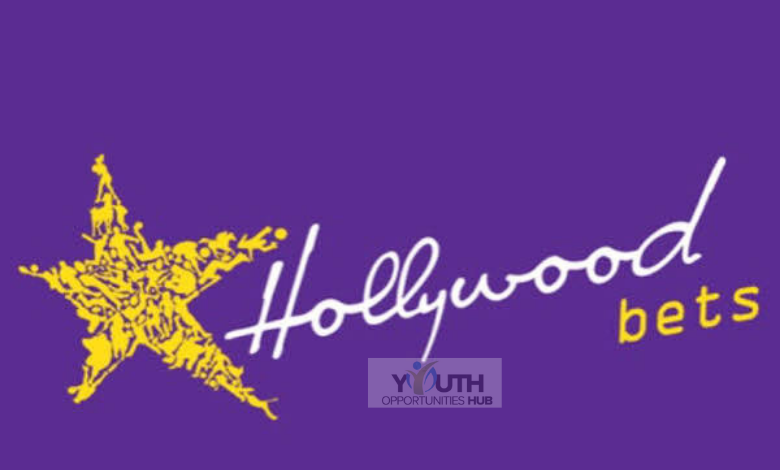 Junior Handyman Vacancy at Hollywoodbets