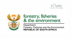 Office Administrator III Vacancy 2026: Department of Forestry, Fisheries and the Environment