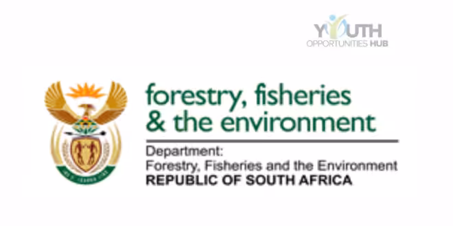 Office Administrator III Vacancy 2026: Department of Forestry, Fisheries and the Environment